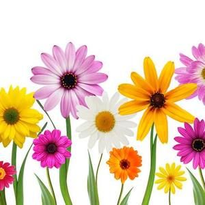 Meet your Posher, Jacqueline